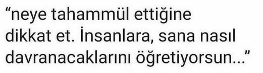 Ekran görüntüsü 2025-12-17 165434.png