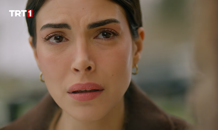 Ekran görüntüsü 2026-01-31 183520.png