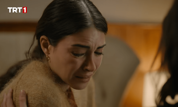 Ekran görüntüsü 2026-01-31 184316.png