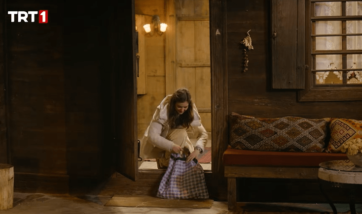 Ekran görüntüsü 2026-01-31 184856.png