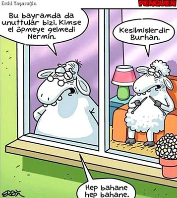 Ekran görüntüsü 2026-05-28 100231.png