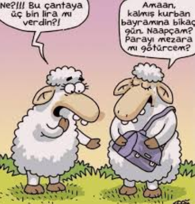 Ekran görüntüsü 2026-05-28 100247.png