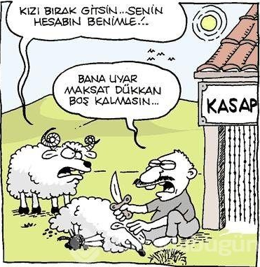 Ekran görüntüsü 2026-05-28 100311.png