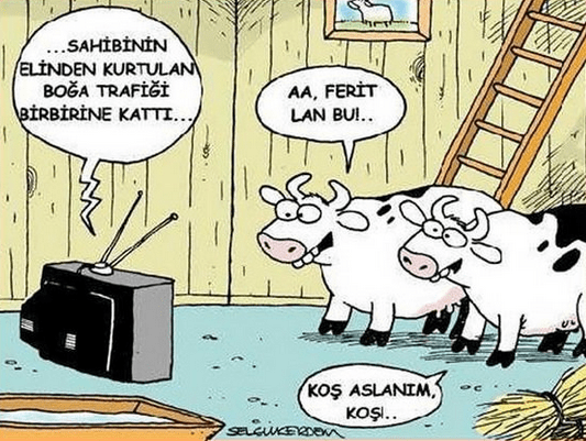 Ekran görüntüsü 2026-05-28 100415.png