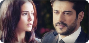 ewsdrtfhujı.png
