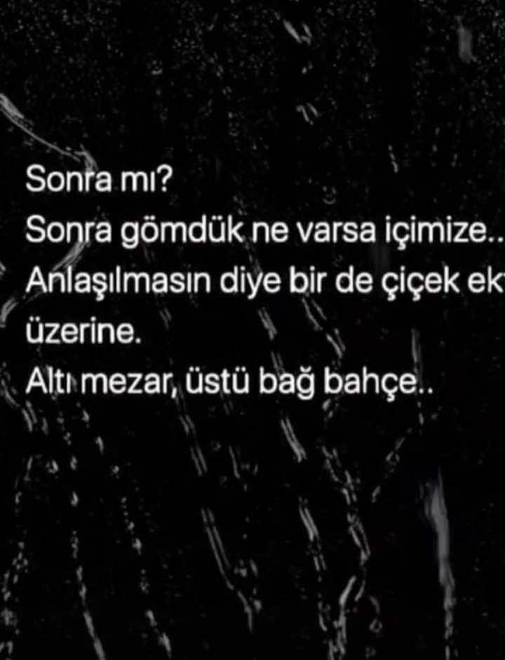FB_IMG_1666811194862.jpg