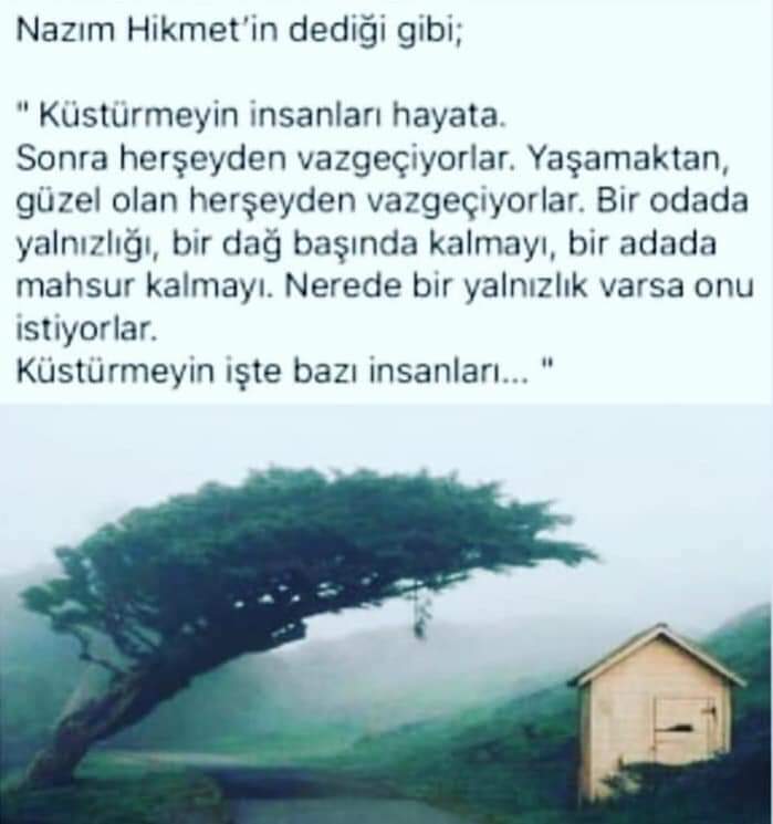 FB_IMG_1672723162386.jpg