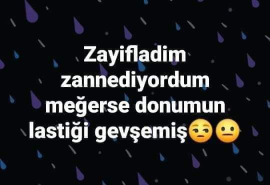 FB_IMG_1674404835552.jpg
