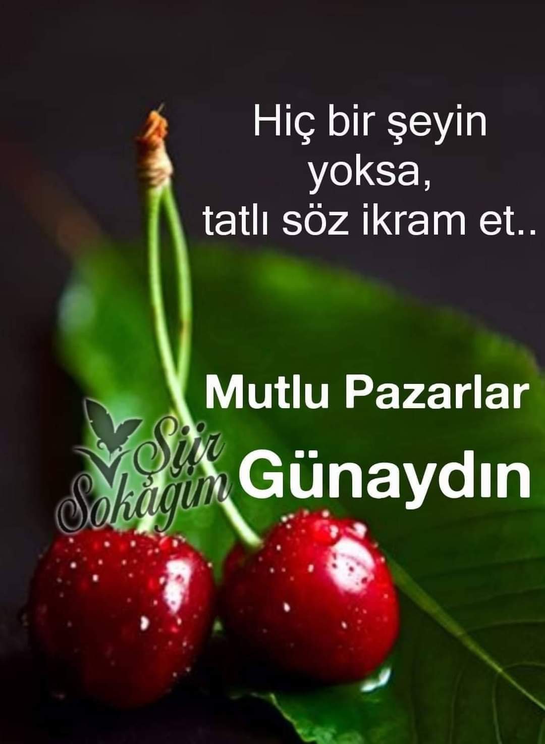 FB_IMG_1675571674640.jpg