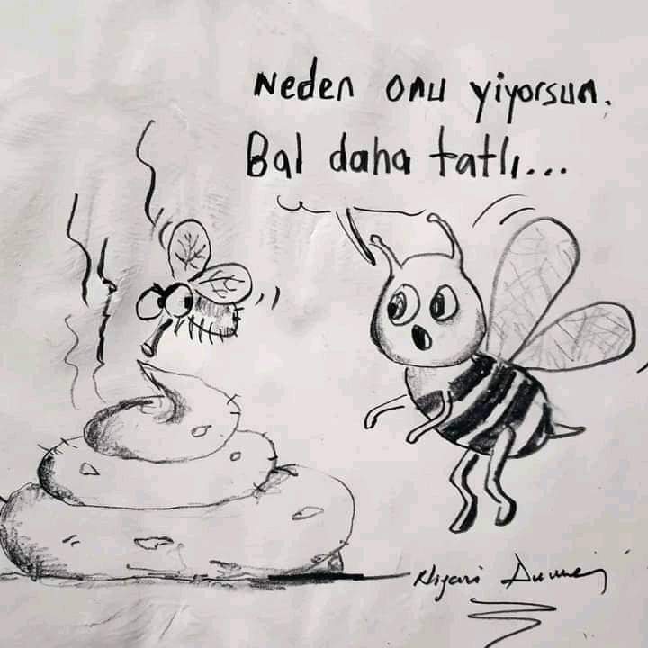 FB_IMG_1687409525545.jpg