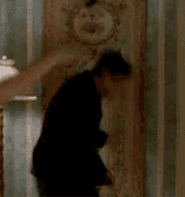 fgsrt.gif