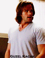 fıkö.gif