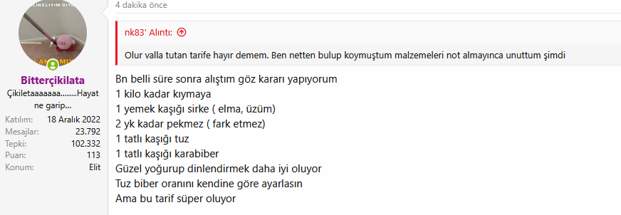 Hamburger Köftesi (denenmiş).png