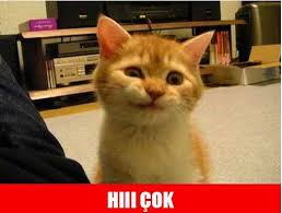 hııı çok.jpg
