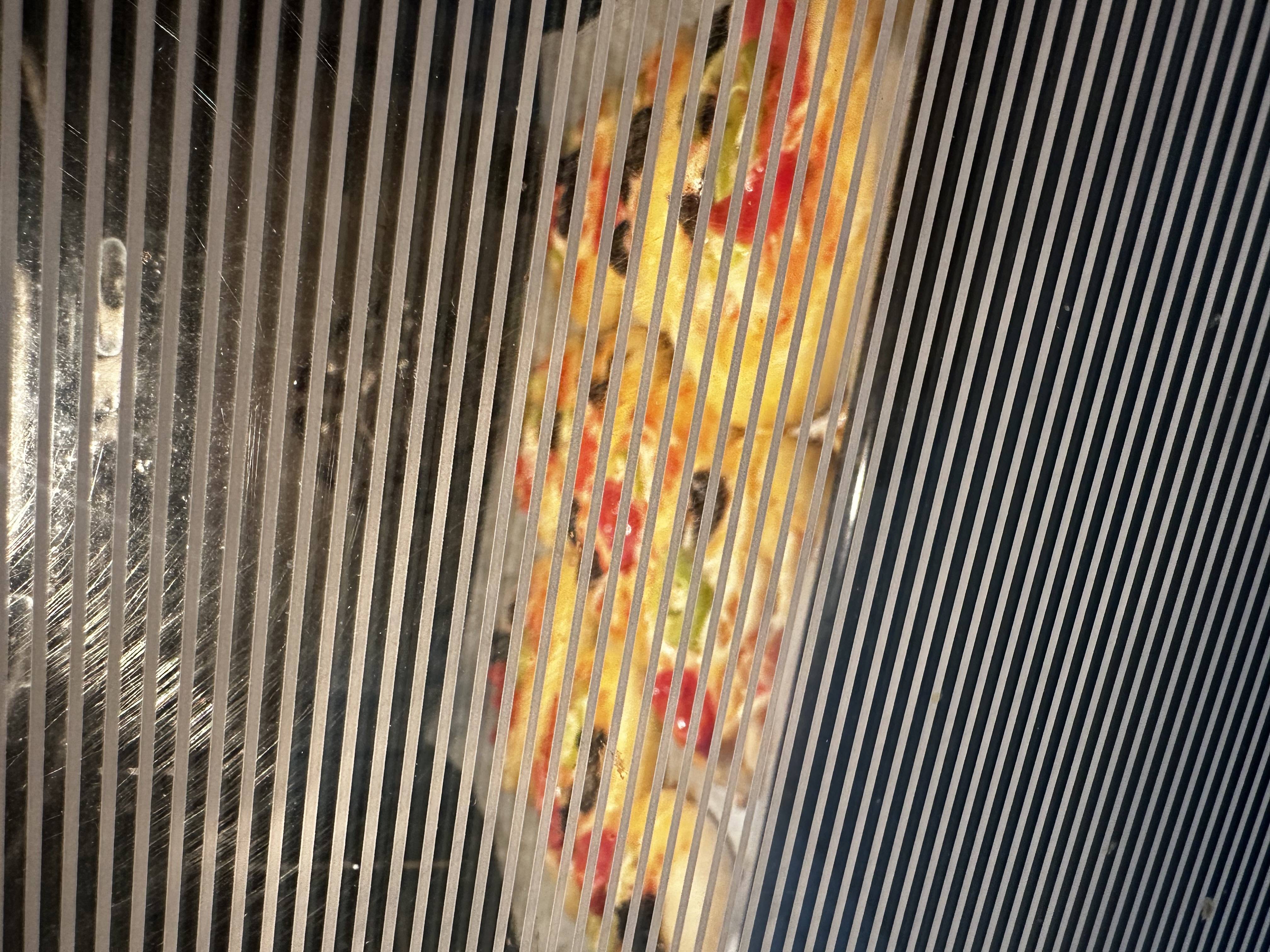 IMG_9996.jpeg IMG_9996.jpeg