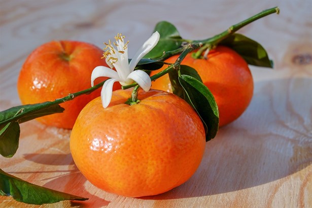 mandalina_bb011b76-cbcd-4129-95fe-baeb274b4d9f_1.jpg