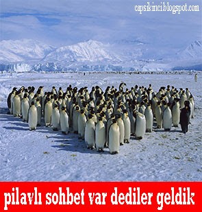 pilavlı-sohbet.jpg