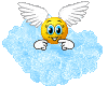 proxy-28.gif