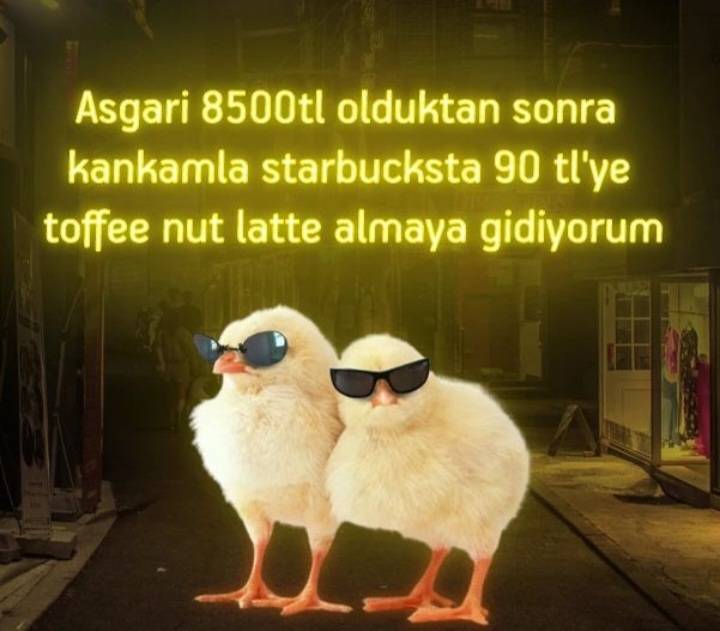 Screenshot_20221225-193916_Instagram.jpg