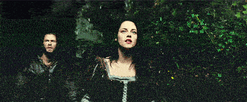 srd.gif