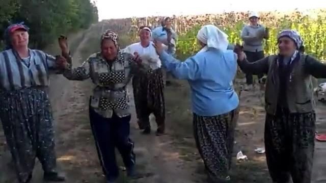 teyzeler-tutun-tarlasinda-stres-atiyor-16-43.jpg