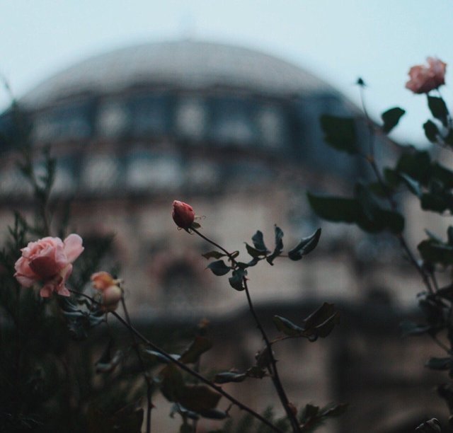 tumblr_pfgx3r4CNR1qm1x85o1_640.jpg