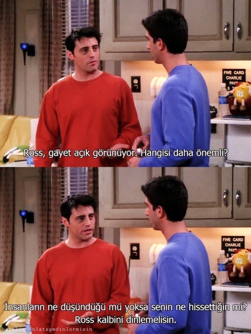 tumblr_pgjvoyIBr11tg8ckpo1_500.jpg