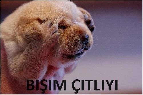 Uykusuz-kalınca-ben-.jpg