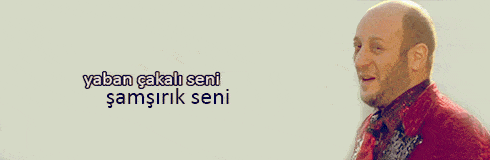 yaban-cakali-seni-samsirik-seni_780x254-jxbq0mot2v.gif