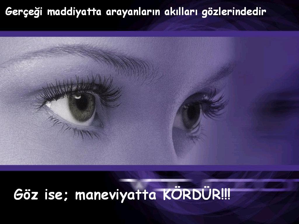 azt0i5jy1d5pd2uit.jpg