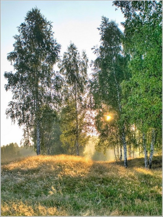 574530_33.jpg