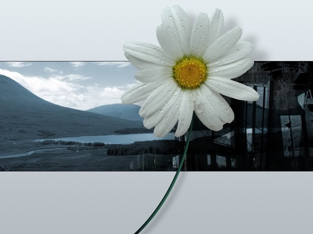 1600_303.jpg