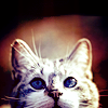 stock1006_by_kisuncha.png