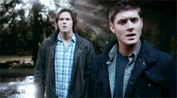 tumblr_m8wlf2kqxN1rziwwco1_400.gif