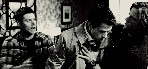 tumblr_m78f4cfSZ81r3anop.gif