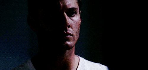 tumblr_lbwtd0SDg81qadi39o1_500.gif