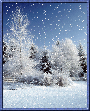 winter.gif