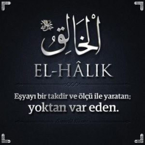 el_halik_8857-300x300.jpg