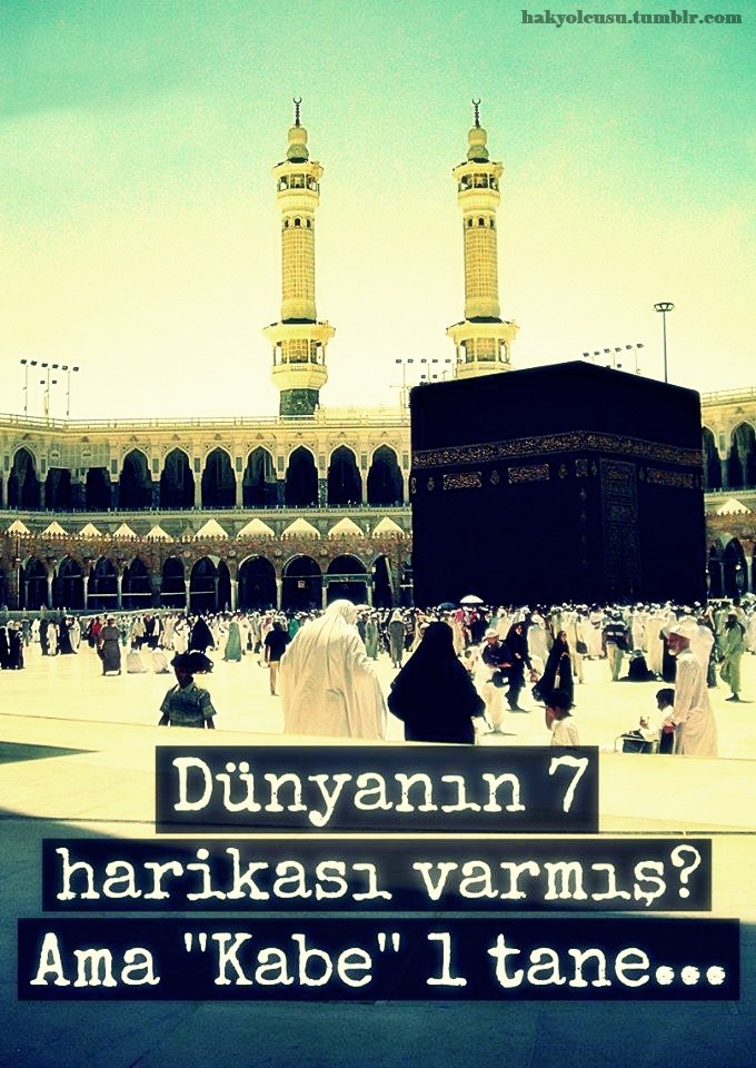 tumblr_mu1o0ms3gj1rhk166o1_1280.jpg