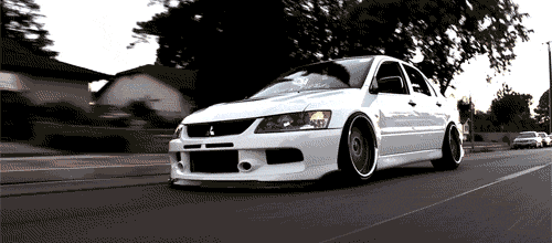 tumblr_mni2t0Sm2y1sqnvueo1_500.gif