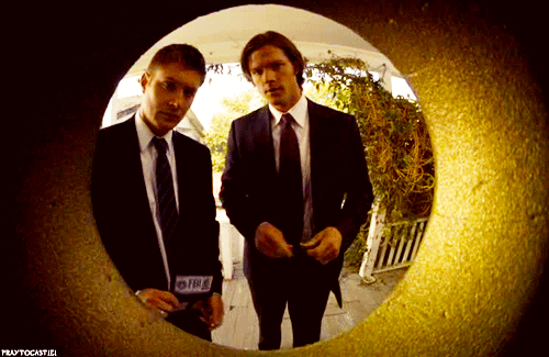 tumblr_inline_mt6pjm0h0l1qjjzql.gif