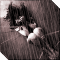 6231829.gif