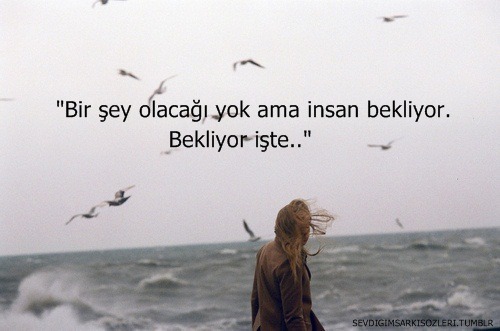 tumblr_m8k7najYil1raxc43o1_500.jpg