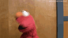 paula-elmo.gif
