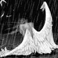 6231721.gif