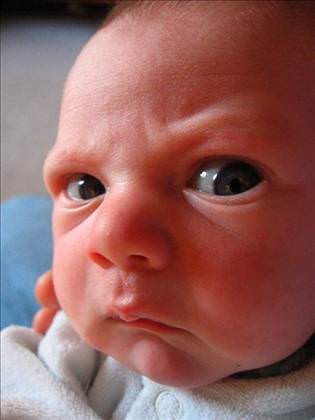 babies_that_are_pissed_12_d.jpg