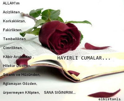 00510zujj1.jpg