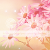 icon43darinka.png