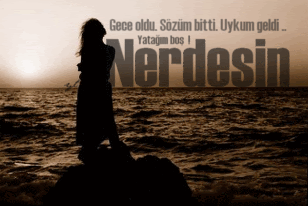 nerdesin.gif