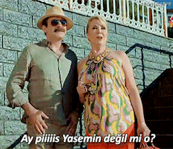 tumblr_nqkjlm7GQ51rv22ito1_250.gif